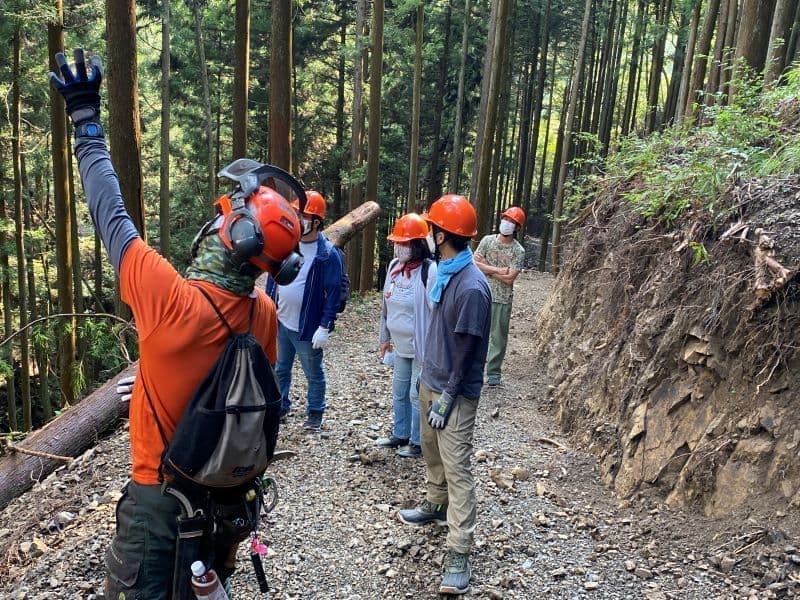 森のガイドツアー