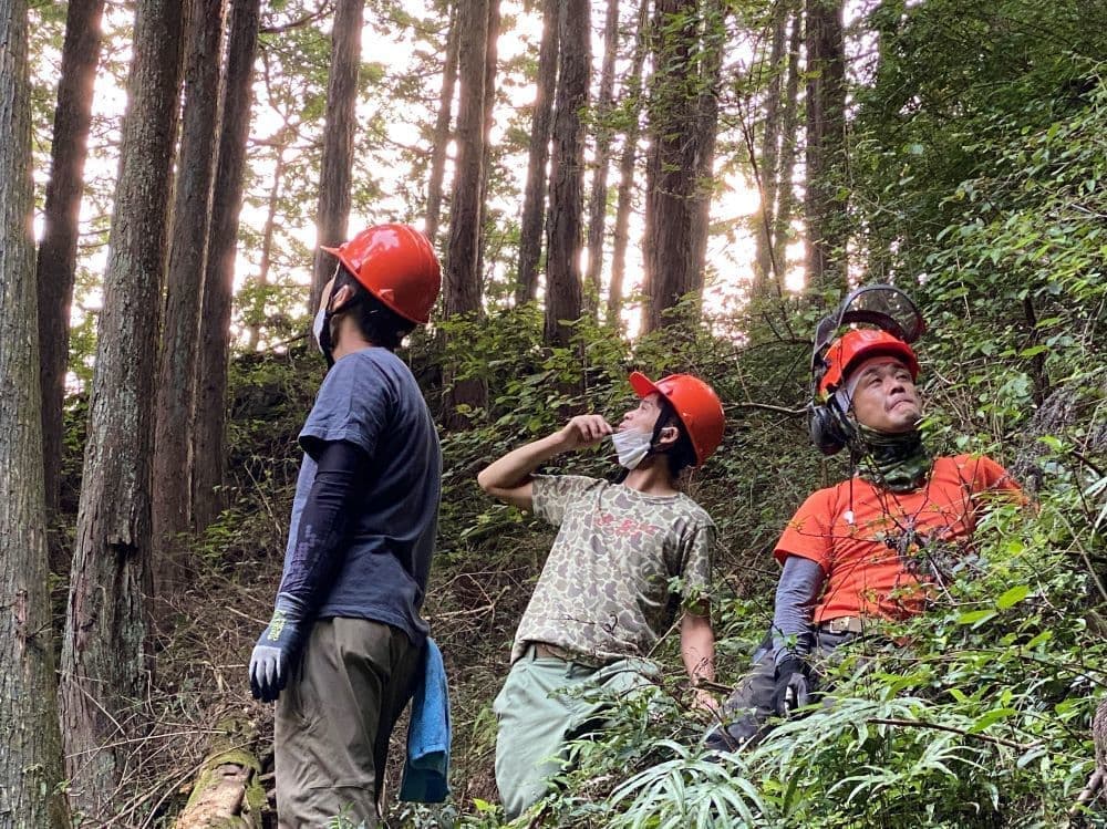 林業家と木工作家が森で