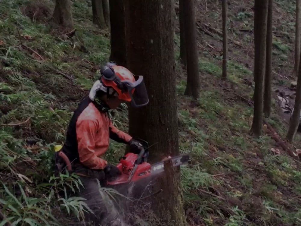 1本の樹からボタン