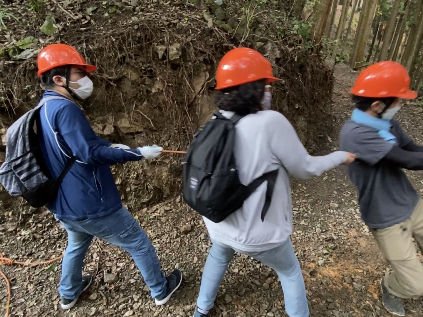 森林で一緒に伐採