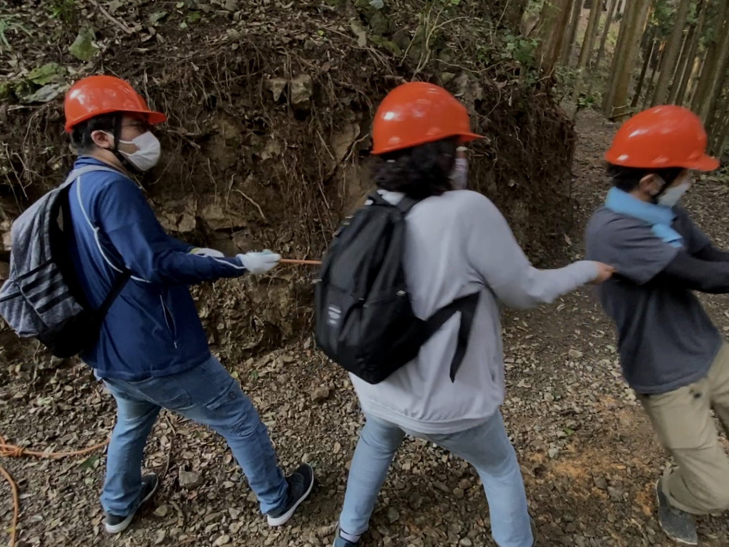 森林で一緒に伐採