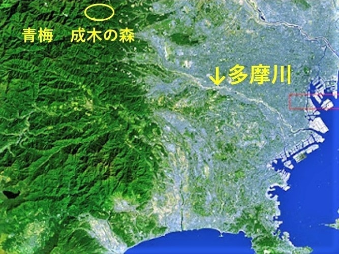 成木の地図の位置